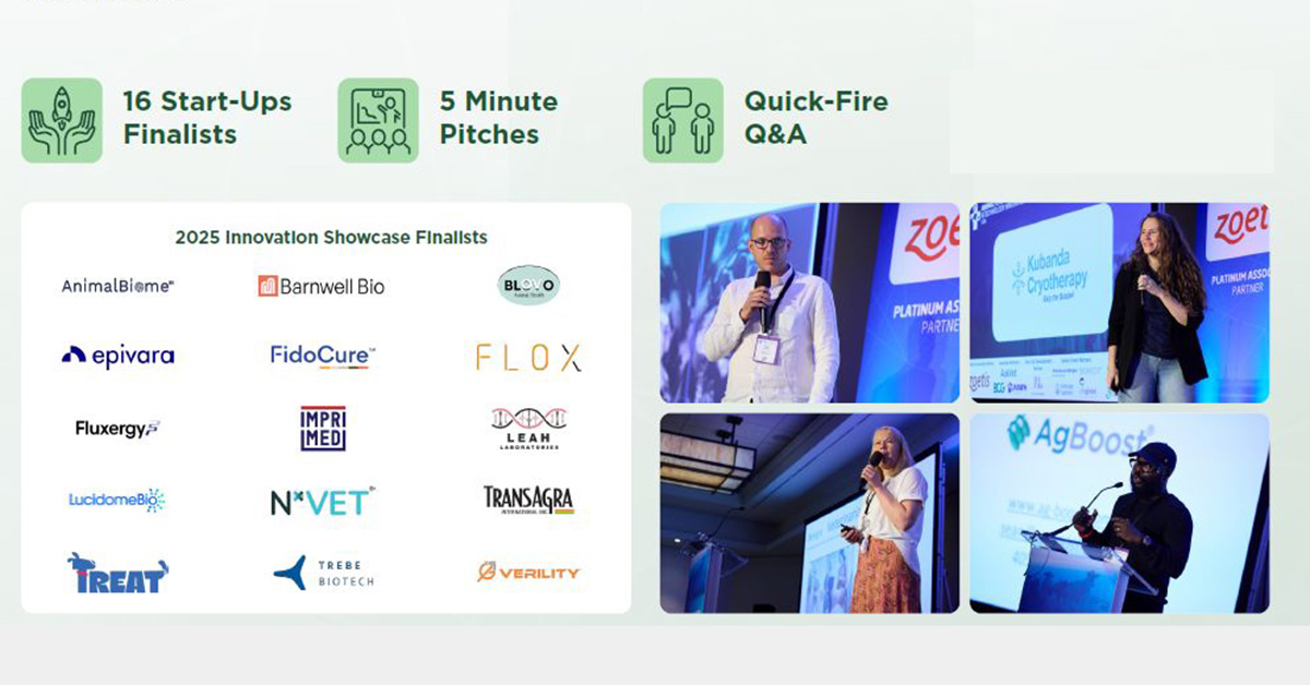 NZ’s methane reducing vaccine selected as global finalist for innovation showcase in Boston, USA